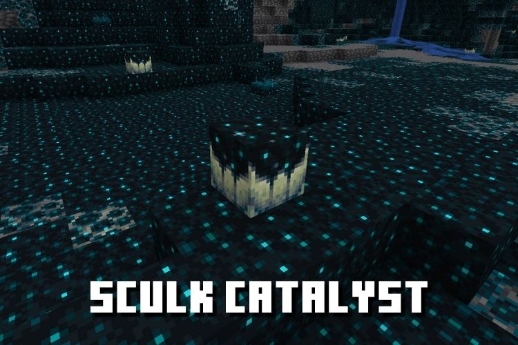 Acquiring and Utilizing Sculk Catalyst in Minecraft 1.19