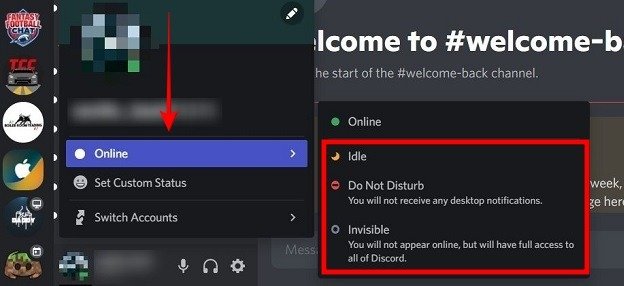 Changing Your Discord Status