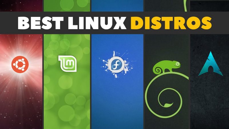 Discover 10 Linux Distros Worth Exploring