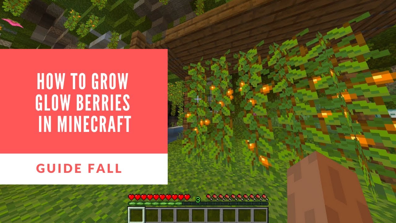 Growing Glow Berries in Minecraft