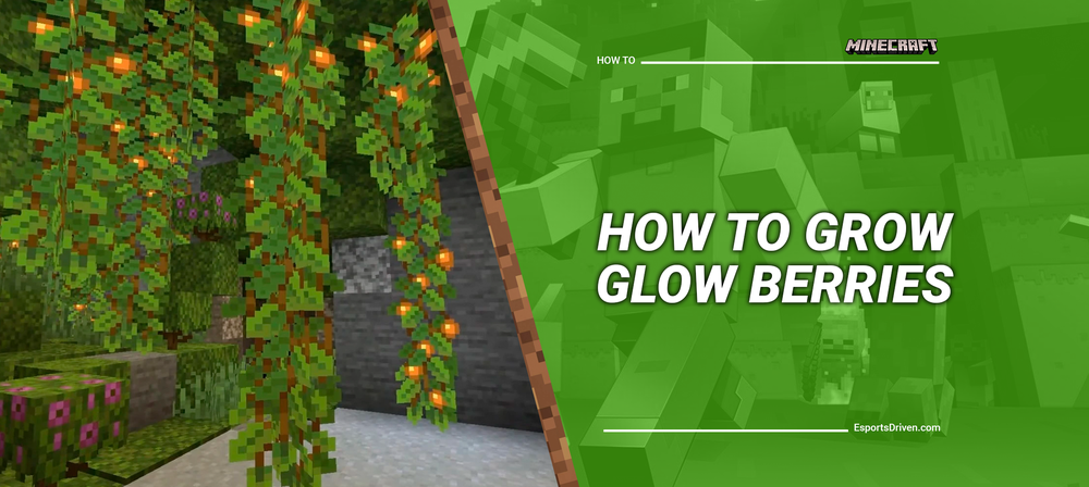 Growing Glow Berries in Minecraft