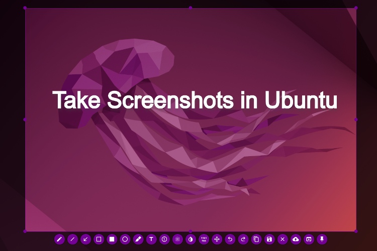 How to Capture a Screenshot in Ubuntu (5 Simple Ways)