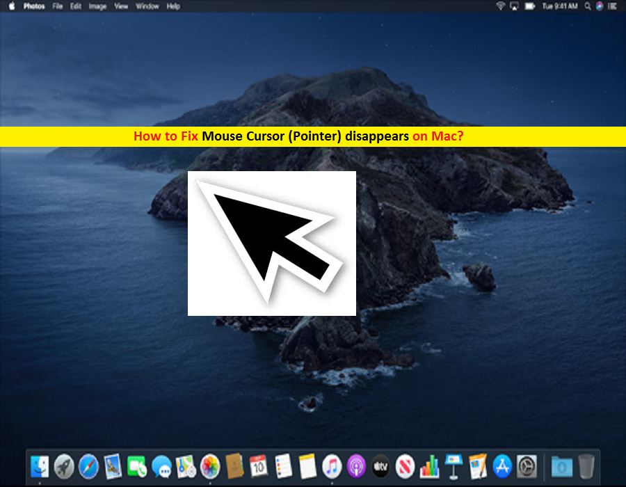 Mouse Cursor Disappears on Mac? 18 Solutions to Fix the Issue!