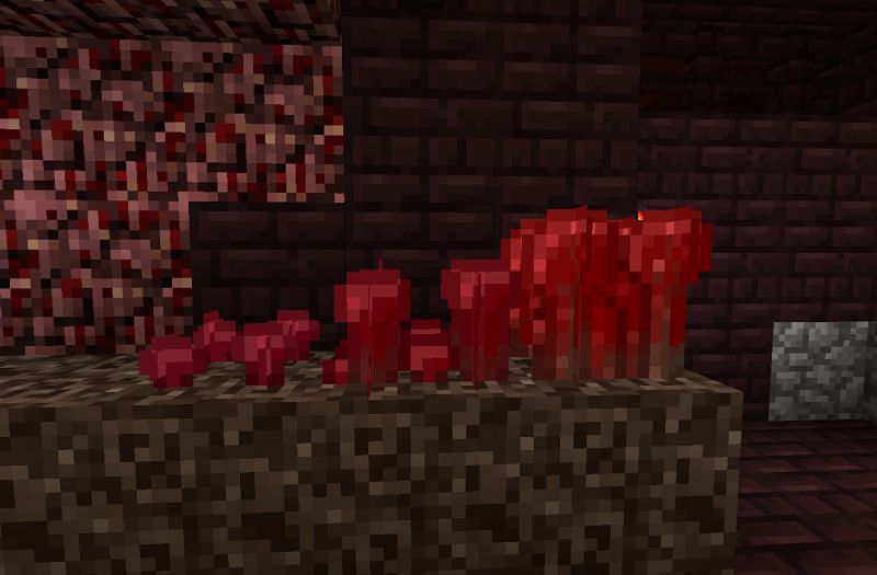 Nether Wart in Minecraft: A Comprehensive Guide